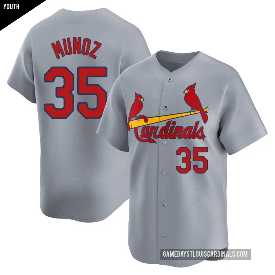 Youth St. Louis Cardinals ＃35 Roddery Munoz Limited Gray Away Jersey