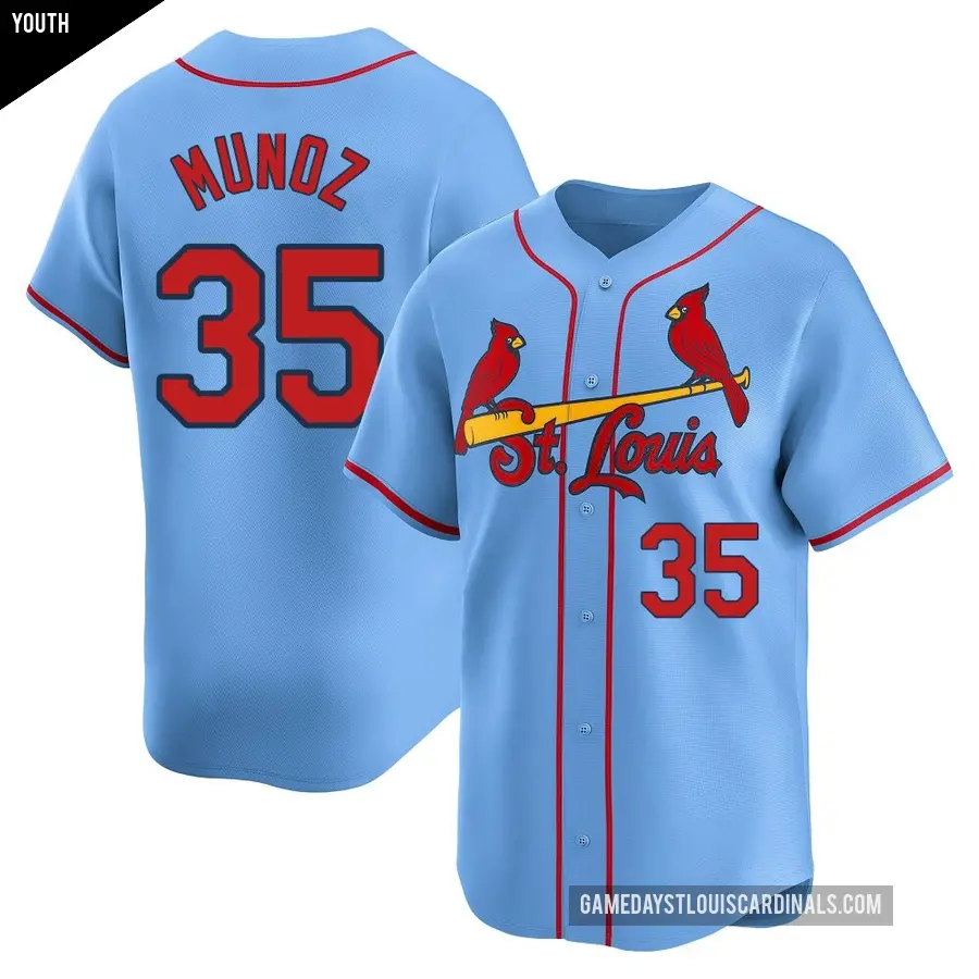 Youth St. Louis Cardinals ＃35 Roddery Munoz Limited Light Blue Alternate Jersey